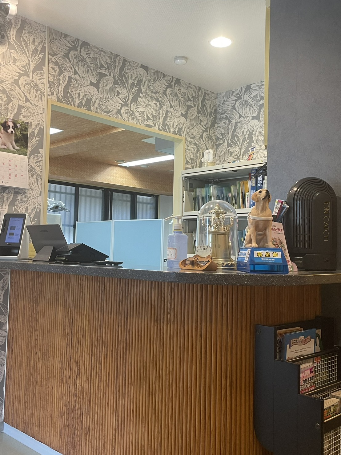 まつもと歯科 受付